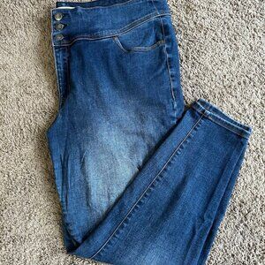 Lane Bryant Jeggings